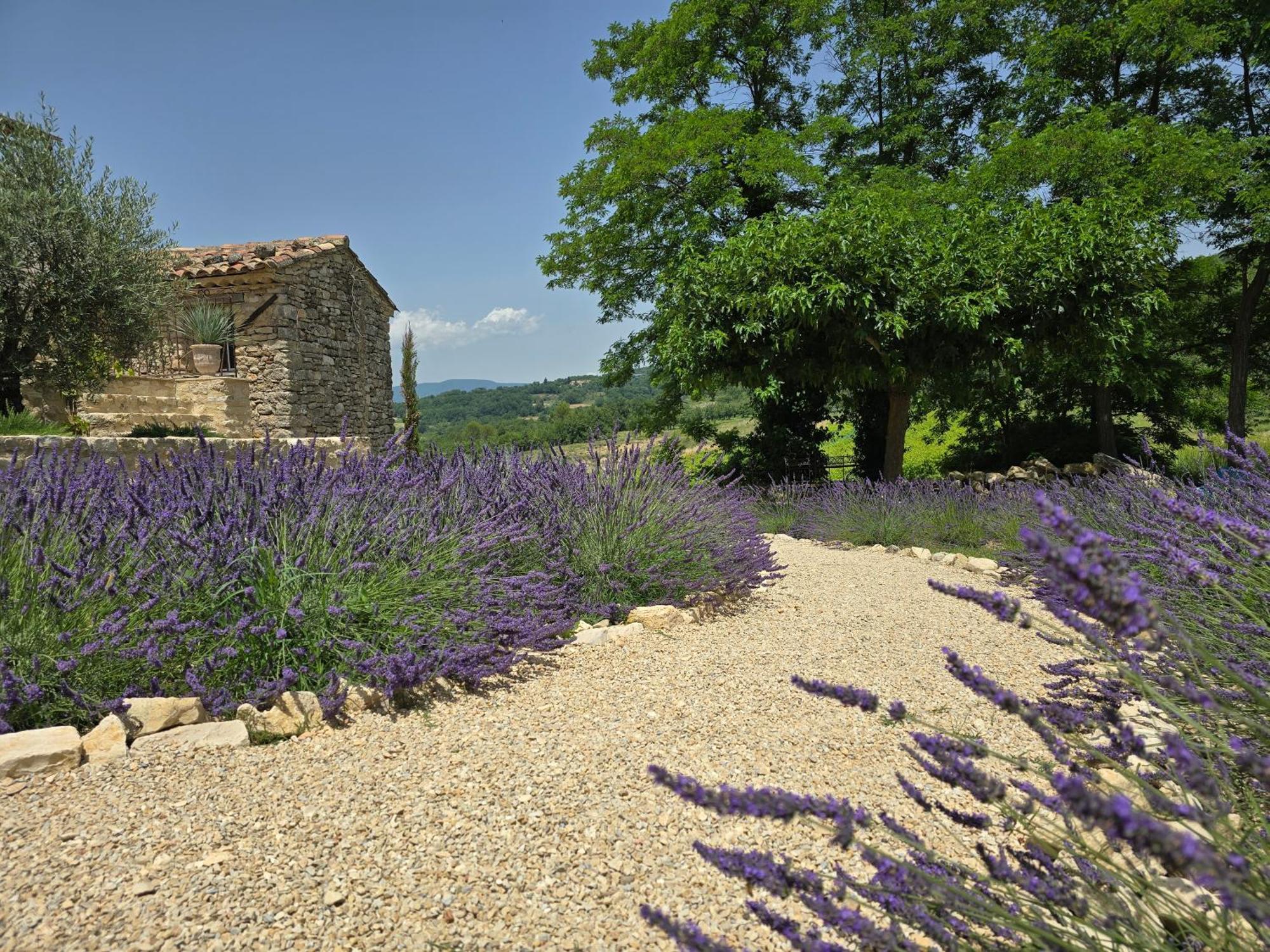 Mas Cerisiers Villa Saint-Martin-de-Castillon Exterior photo